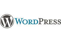 WordPress Password